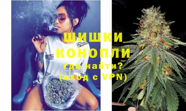 крисы Белокуриха