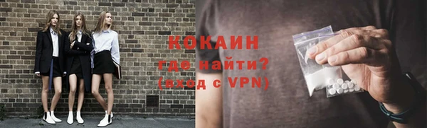 крисы Белокуриха