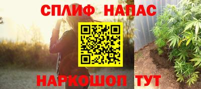 прущие грибы Бийск