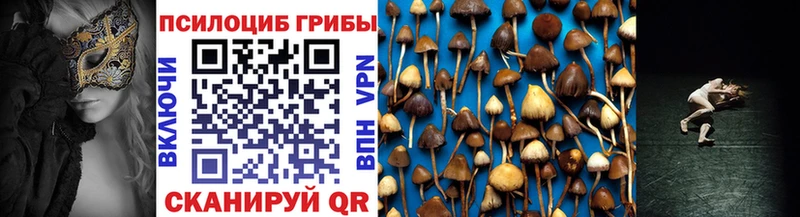 Псилоцибиновые грибы Cubensis  omg ССЫЛКА  Городец 