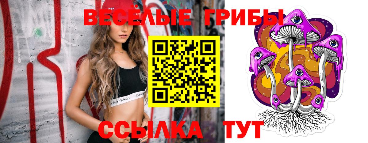 купить наркотики цена  Вход с VPN  Псилоцибиновые грибы Psilocybine cubensis  Городец  Псилоцибиновые грибы мухоморы 